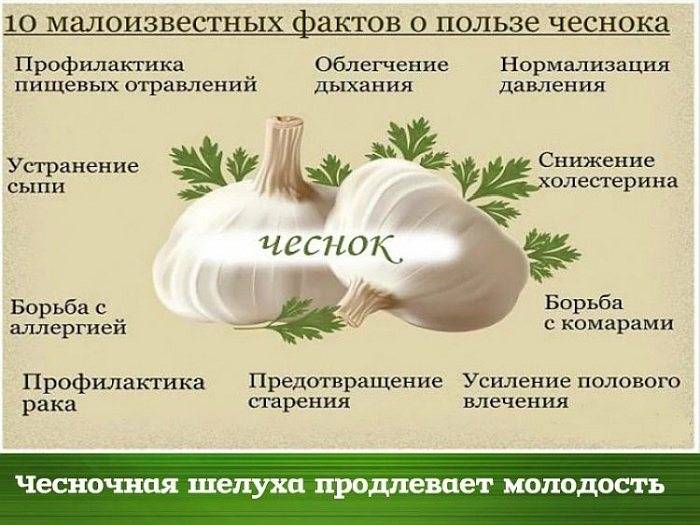 Диета при застое желчи в желчном пузыре, перечень желчегонных продуктов питания - medside.ru
