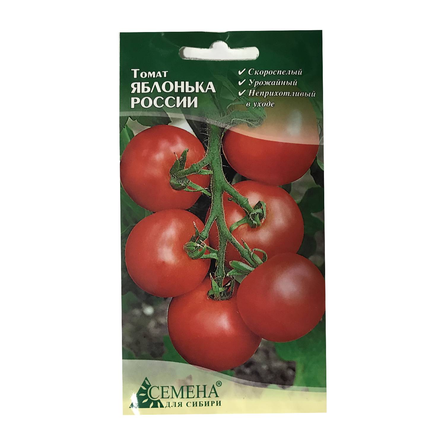 Характеристика и описание сорта помидоров яблонька россии