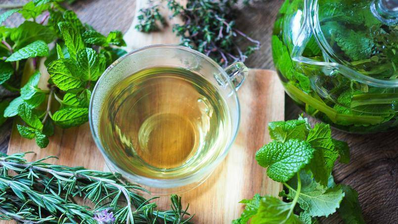 Как правильно заваривать чай из одуванчика: из цветков, листьев, корней, как пить. одуванчиковый чай: польза и вред, как употреблять напиток