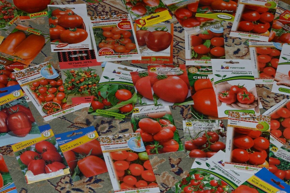 Лучшие сорта томатов на 2019 год