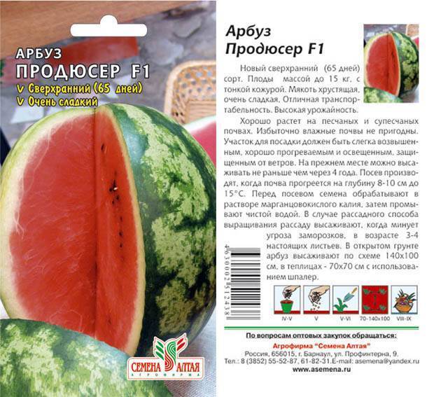 Арбуз продюсер: описание сорта, фото, правила выращивания, отзывы