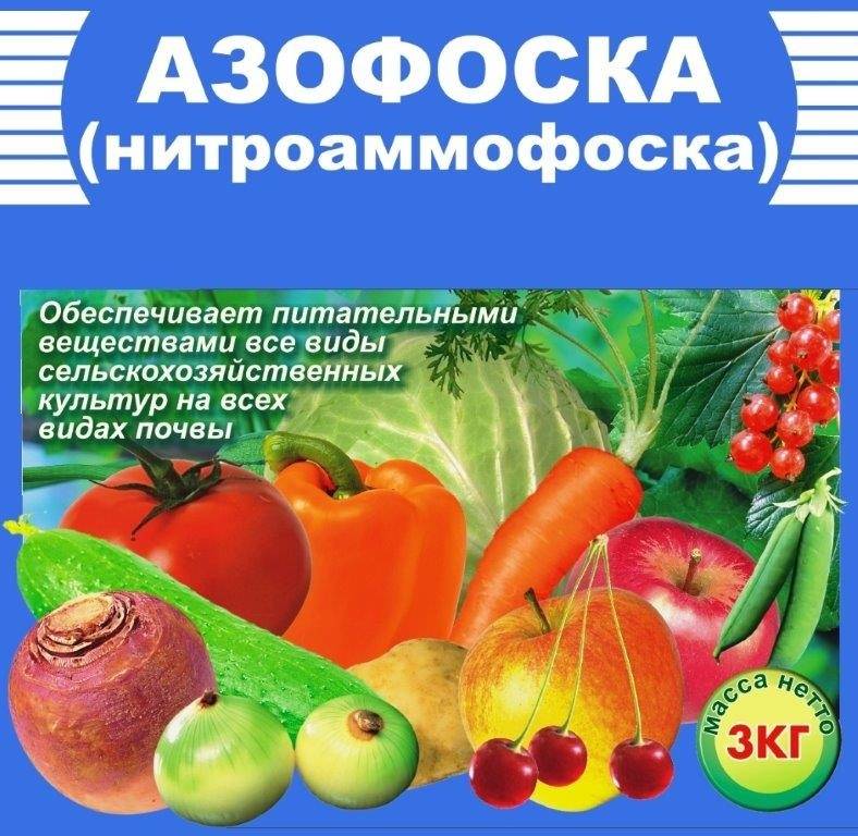 Нитроаммофоска: состав удобрения и его применение в саду и огороде