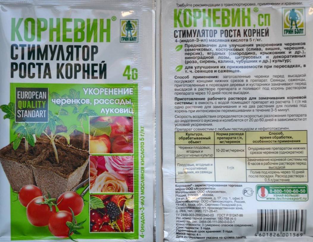 Подкормка томатов: чем подкормить помидоры для повышения урожайности