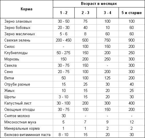 Сколько раз в день нужно кормить кроликов и таблица норм потребления корма