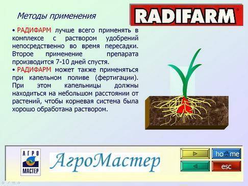 Радифарм: инструкция по применению стимулятора роста, состав, российские аналоги и зарубежные, отзывы садоводов о препарате