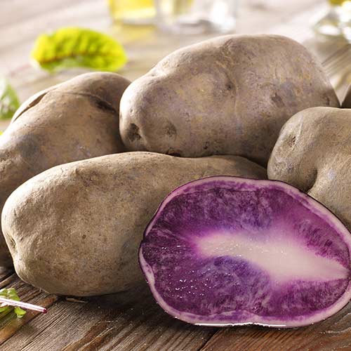 Характеристика, описание, урожайность, отзывы и фото сорта картофеля «гурман».