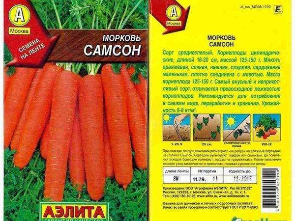 Лучшие сорта моркови для открытого грунта в Сибири