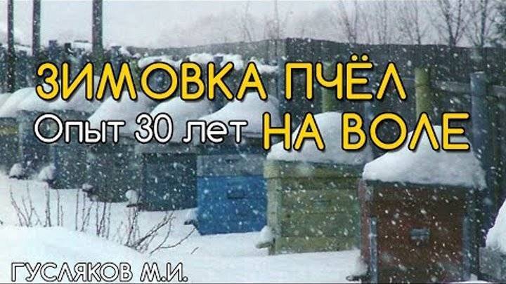 Утепление пчел на зиму