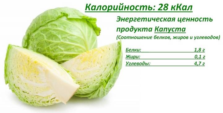 Капуста: калорийность (ккал) на 100 грамм и состав бжу (белки, жиры, углеводы), какие витамины (с, в, другие) и минералы есть, сколько их в мг содержат свежие овощи русский фермер