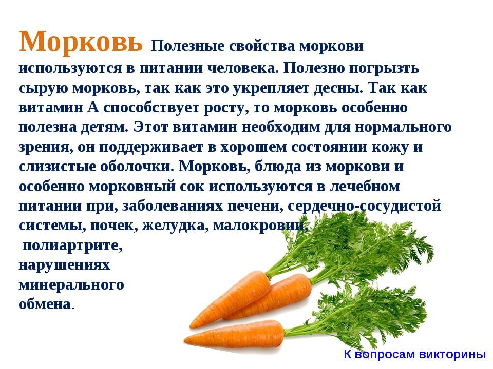 Морковь при беременности | уроки для мам