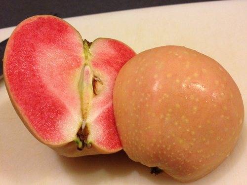 Розовый жемчуг - сорт яблок с розовой мякотью