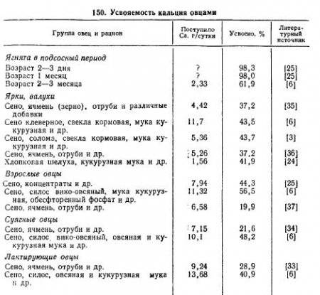 Кормление овец в домашних условиях