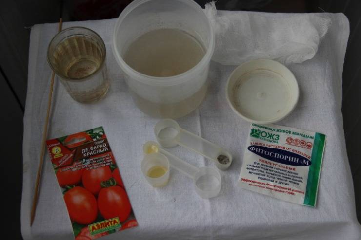 Как обработать семена томатов перед посадкой на рассаду?