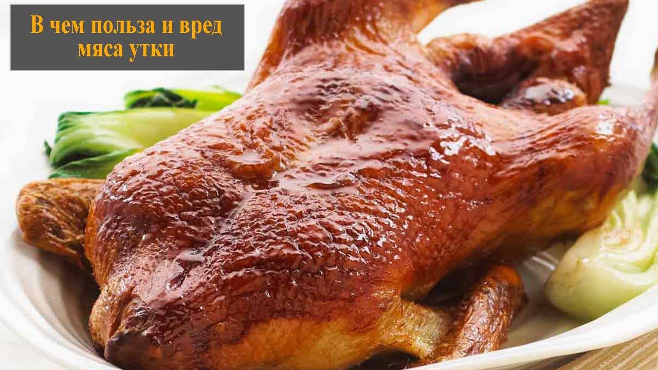 Гусь