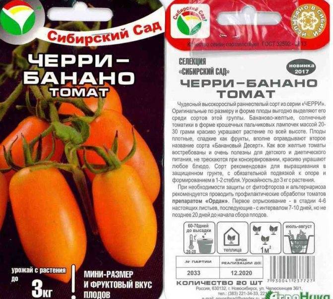 Томаты: 20 лучших сортов для выращивания в теплицах сибири