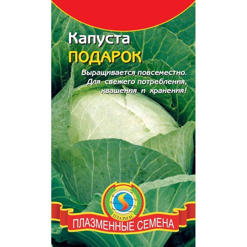 Капуста подарок: описание и характеристика сорта, урожайность с фото