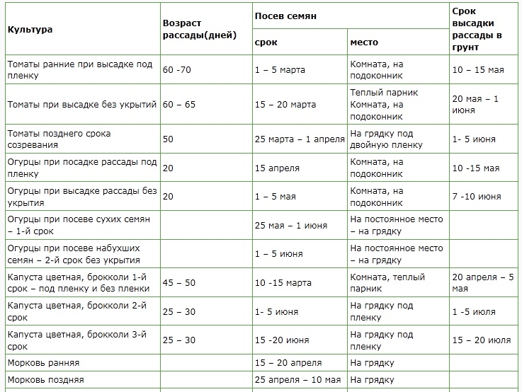 Посадка томатов в открытый грунт рассадой