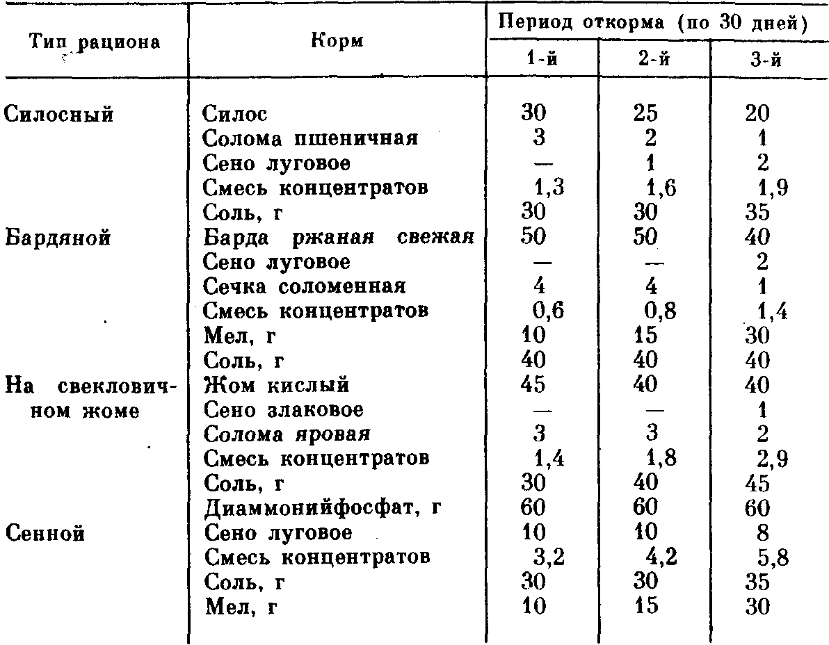 Бизнес план откорма бычков на мясо