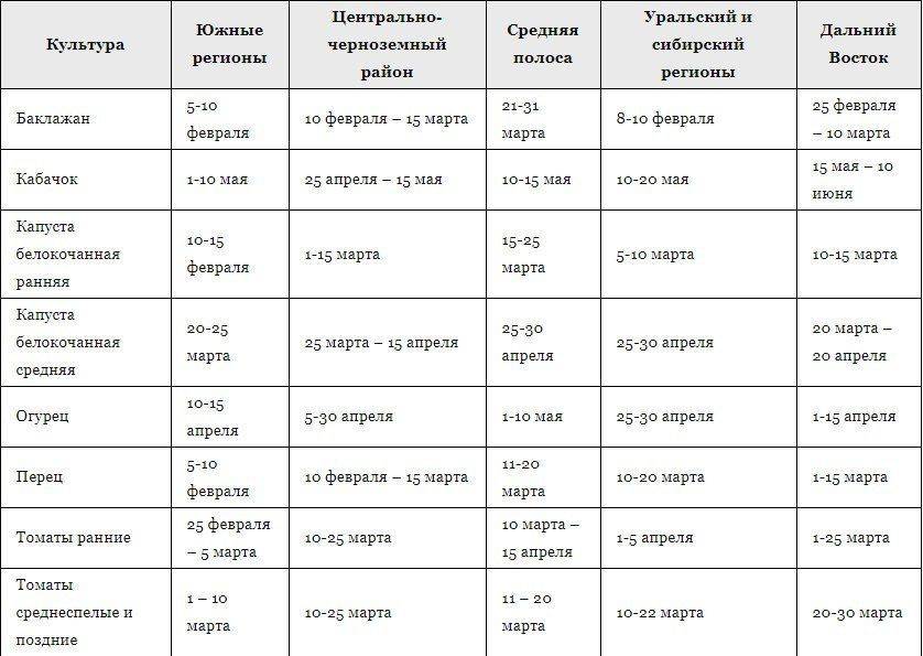 Посадка перца на рассаду в 2023 году: сроки, варианты посева, правила выращивания