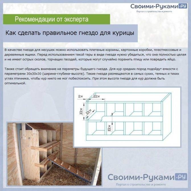 Курятник из блоков своими руками чертежи и фото пошаговая инструкция