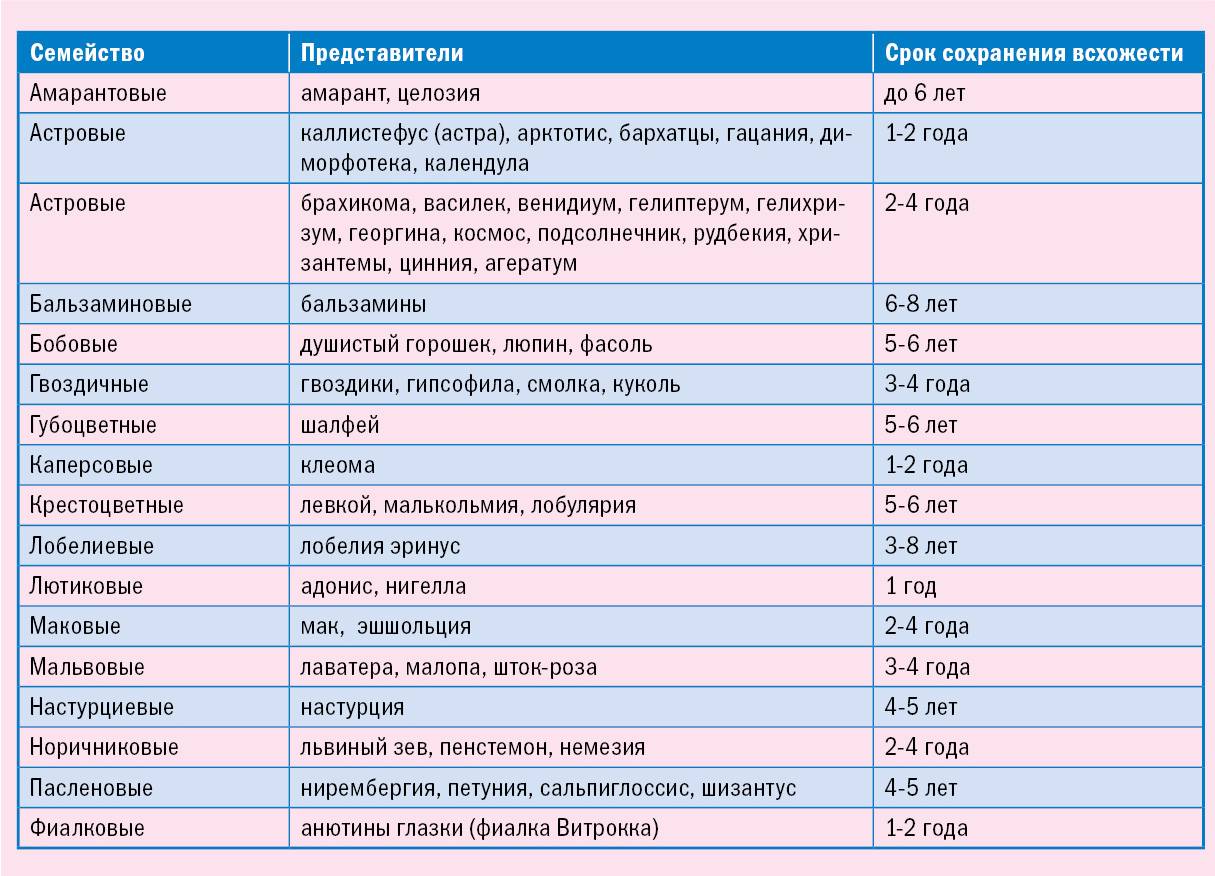 На какой день прорастают семена