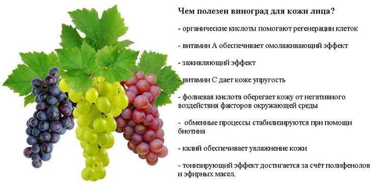 Чёрный, розовый и белый — такой разный виноград «оригинал»