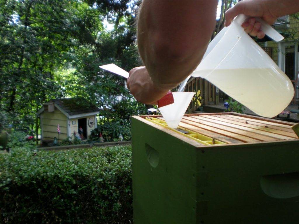Разновидности кормушек для пчёл, рекомендации опытных пчеловодов