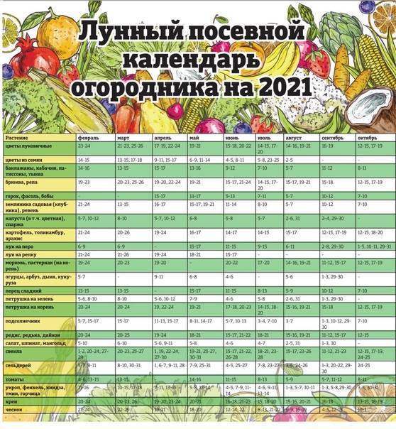 New! лунный календарь для комнатных цветов на 2020 год