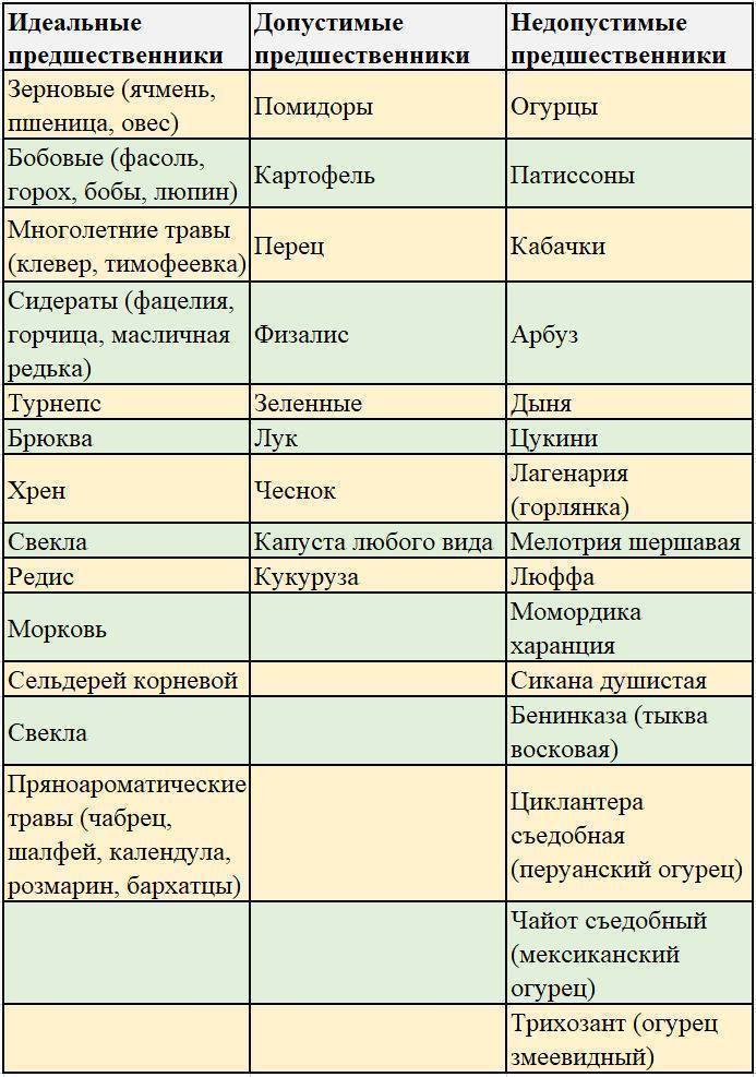 Что можно сажать после лука на следующий год и рядом на грядке: что лучше растет в открытом грунте на этом месте, что сеять в землю после репчатого, и таблица смены