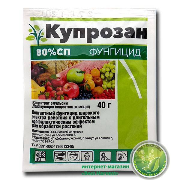 Топ-11 препаратов для обработки винограда от вредителей