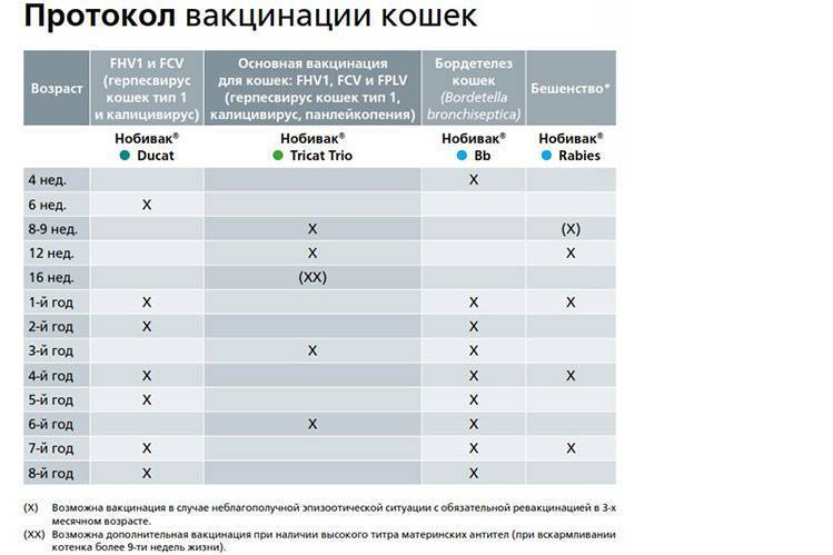 Для собак схема вакцинации