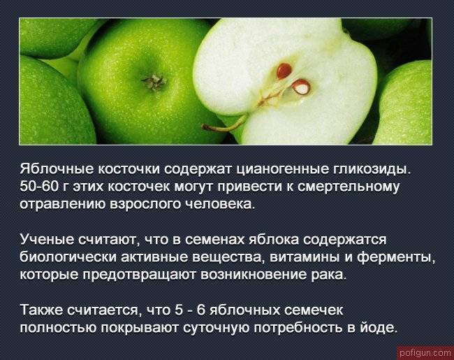Яблоко: сорта, польза и калорийность | food and health