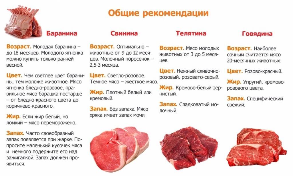 Как определить свежесть замороженного мяса по бульону