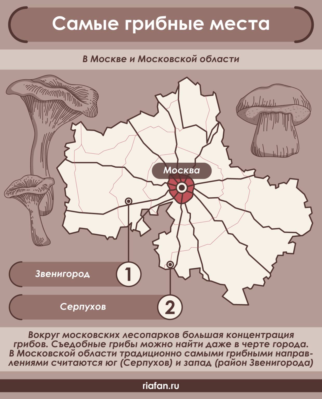 грибы в москве