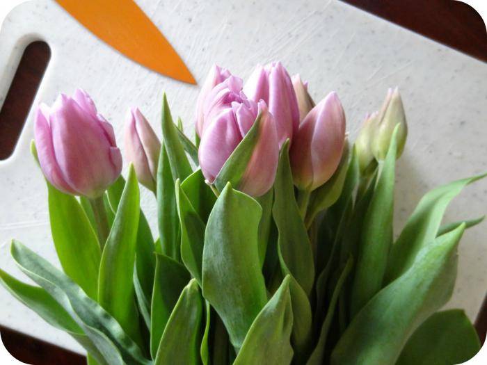 Как дома сохранить тюльпаны