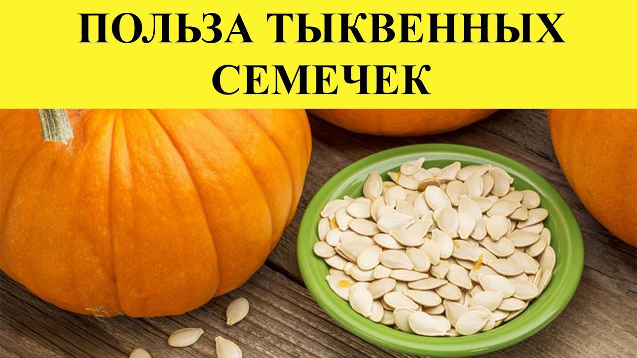 Семена тыквы для женщин. Польза тыквенных семечек. Тыквенные семечки для мужчин. Тыквенные семечки польза и вред для организма женщины. Тыквенные семечки польза для мужика.