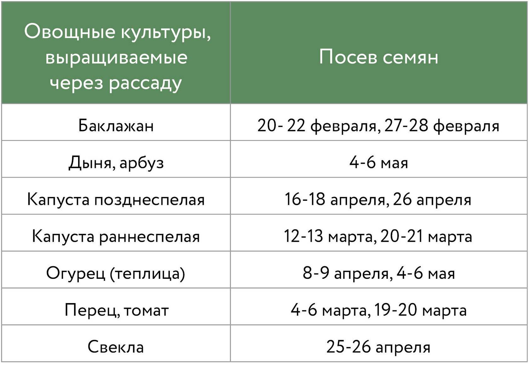 На сколько замачивать семена моркови перед посадкой