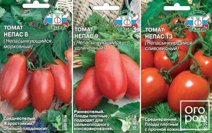 Характеристика томатов сорта Непас