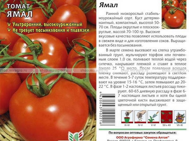 Томат ирина характеристика и описание сорта. гибрид с хорошей урожайностью — томат ирина f1: урожайность сорта и его описание | зелёный сад