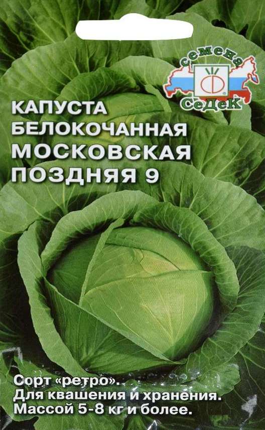 Капуста поздняя лучшие. Капуста белокочанная Московская поздняя Аэл. Капуста белокочанная Московская поздняя 9. Капуста Московская Московская поздняя. Капуста белокочанная Московская поздняя 15.