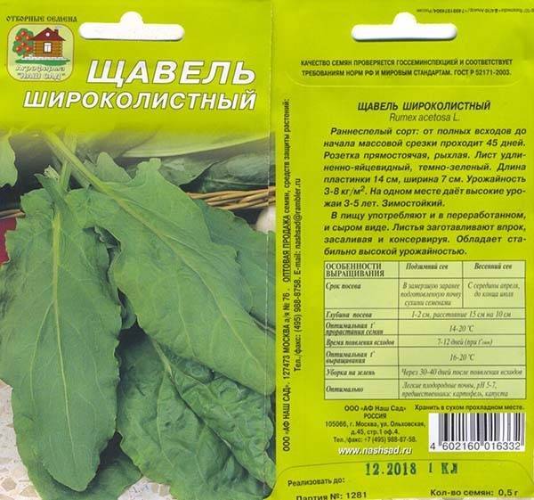 Посадка щавеля осенью под зиму | советы по выращиванию щавеля