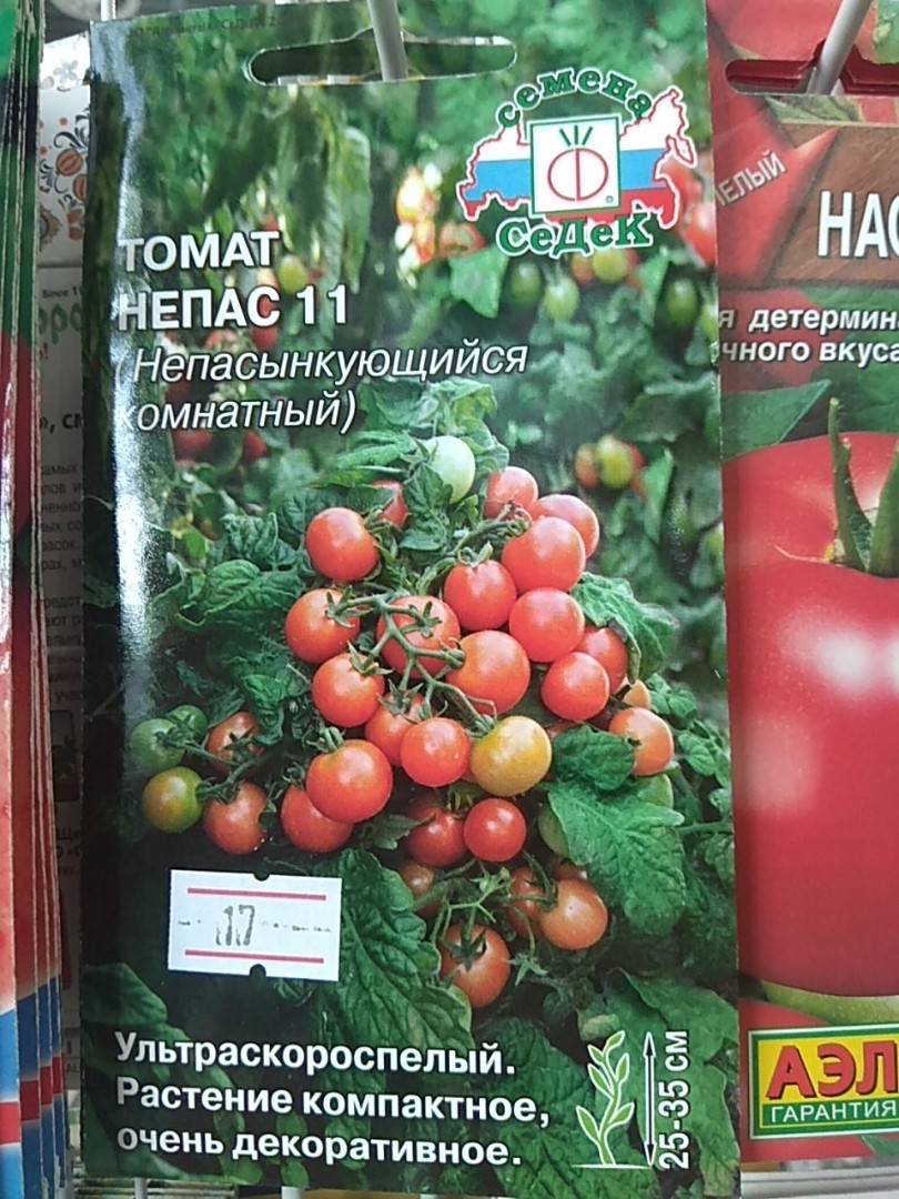 Плоды с большой устойчивостью к жаре — томат непас 6 непасынкующийся красный с носиком: описание сорта