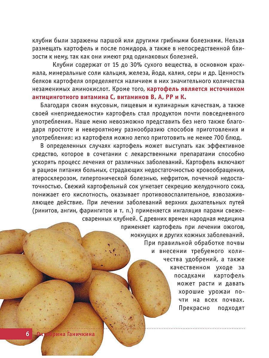 Картофель гулливер: описание и основные характеристики сорта