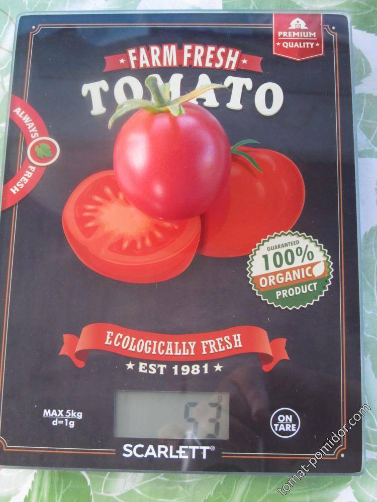 Старинный поволжский сорт сладких помидоров: обзор томата «сызранская пипочка» и тонкости его выращивания