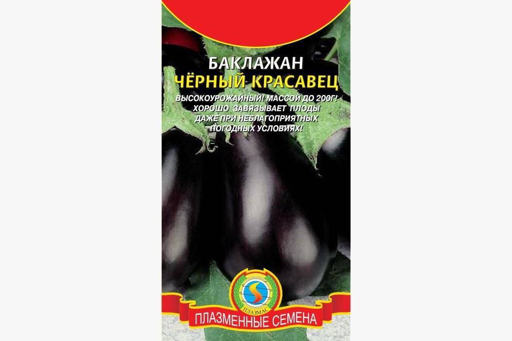 Баклажан белый сорта