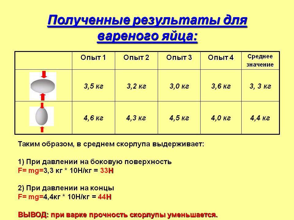 Сколько граммов весит куриное яйцо: без скорлупы, сырое, варёное вкрутую и всмятку, вес желтка и белка, значение по категориям