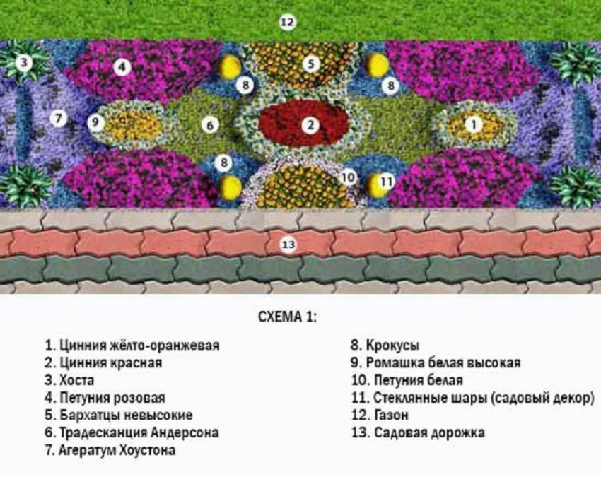 Схема посадки цинии в открытый