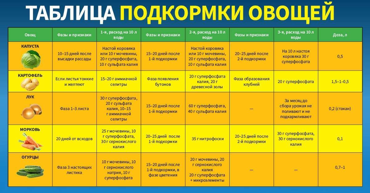 Чем подкормить чеснок после зимы чтобы был крупный