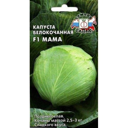 Капуста ринда f1: описание сорта, отзывы тех кто сажал, фото, урожайность