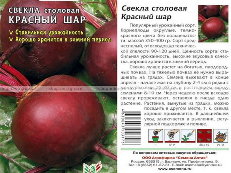 Лучшие сорта свеклы. наш рейтинг "самых-самых"